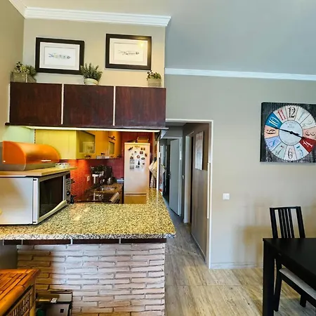 Casa Azul 公寓 托雷拉