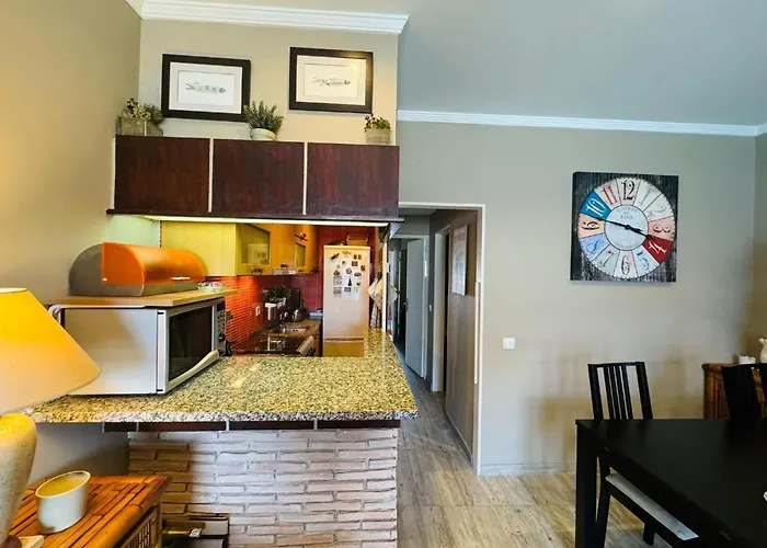 Casa Azul 公寓 托雷拉